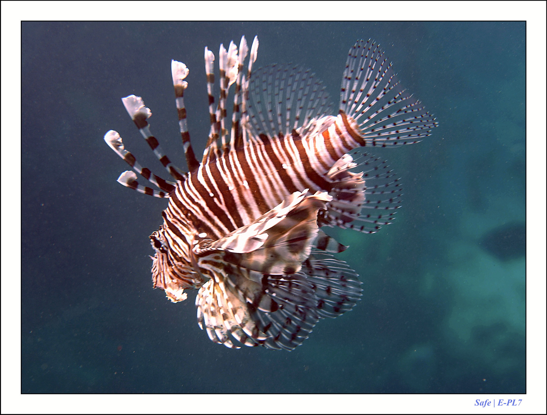 2023 - 03 - Charm El Sheikh - 05